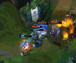 区的种子名 区的种子名