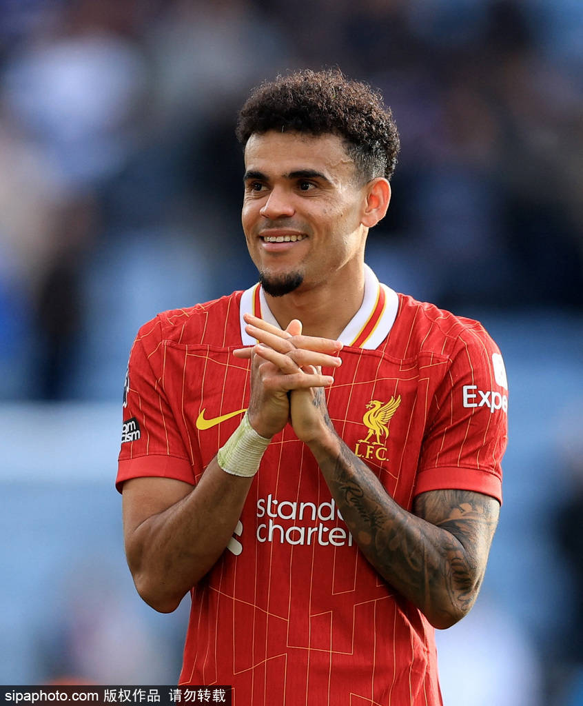 维的进阶 维的进阶